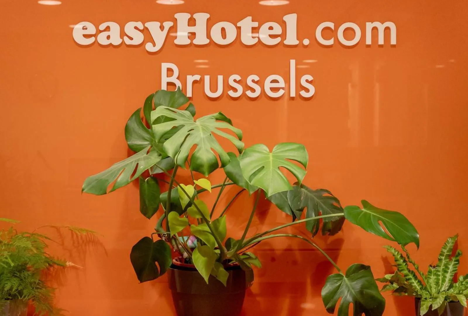 Easyhotel Brussels City Centre